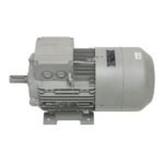 SIEMENS 1LA7113-4AA60-Z (2LM8060-6) - Image 2