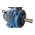 WEG W22 IE2 GY 250S/M-04 55KW 4p B3T - Image 2