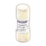 FERRAZ SHAWMUT FR22gg50VV100 500V - Image 2