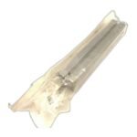 FESTO ADN-20-150-A-P-A - Image 2