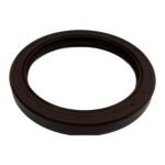 NJK TC 75x95x10 FPM Shaft Seal
