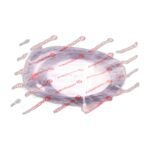 NORGREN M/50/LSU/5V - Image 2