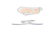 BRUSH BS88.4 (Lot of 17pcs) - Image 3