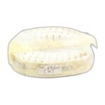 MEGADYNE 25 AT 10 1560 - Image 2