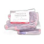 NORGREN C00D30806 (Lot of 5pcs) - Image 2