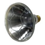 PHILIPS PAR38 Spot 120W 24V E27 2700K 10 SP - Image 5