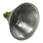 RADIUM PAR 38-EC 120W 12 E27 230V 13902 - Image 2