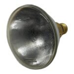 RADIUM PAR 38-EC 120W 12 E27 230V 13902