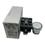 SCHNEIDER ELECTRIC XB4BW31B5
