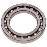 SKF 16011