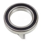 SKF 6015-2RS1