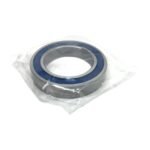 AKN 6014-2RS1/SS