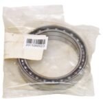 EZO 6813
