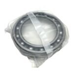 NSK 6024CM