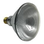 PHILIPS PAR38 FLOOD 30D 923810144207 - Image 3