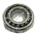 SKF NUP2209 ECP