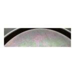 PARKER 9109061 AIR BELLOWS DOUBLE 14.1/2x2 - Image 5