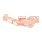 SCHRACK RT314024 (lot 8pcs)