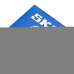 SKF 6315